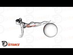 Exercice Planche avec les pieds sur un swiss ball