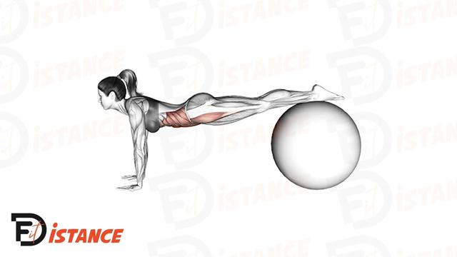 Planche avec les pieds sur un swiss ball