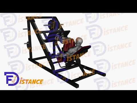 Presse à cuisse 45 degrés