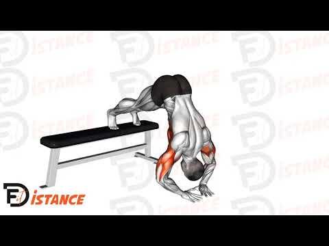 Pompes pike déclinées en diamand (pike diamond push ups)