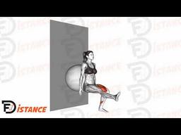 Exercice Squat sur une jambe avec ballon (Swiss Ball) contre le mur