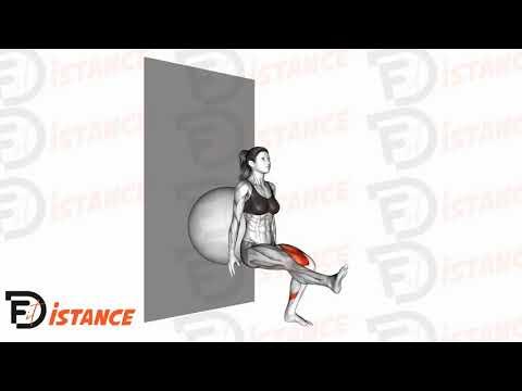 Squat sur une jambe avec ballon (Swiss Ball) contre le mur