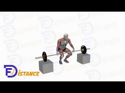 Power Clean depuis les blocs