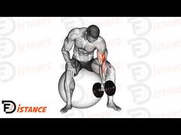 Exercice Curl concentré avec haltère sur ballon (Swiss Ball)