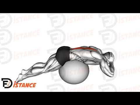 Extension du dos sur ballon (Swiss Ball)