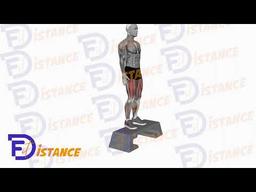 Exercice Step up