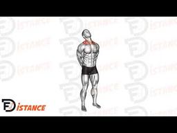 Exercice Cercles du cou (échauffement)
