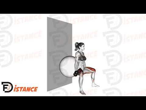 Squat sumo avec haltères dos sur ballon contre le mur
