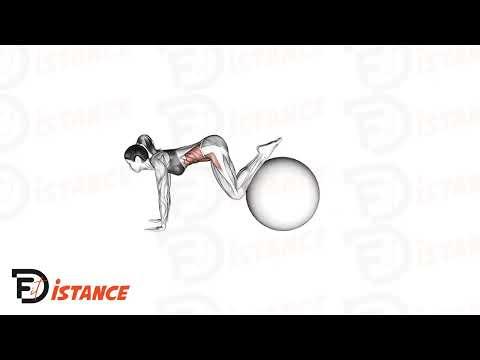 Jack Knife sur Swiss Ball