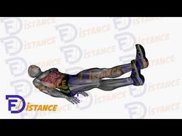 Exercice Ciseaux