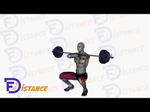Front Squat à la barre avec pause