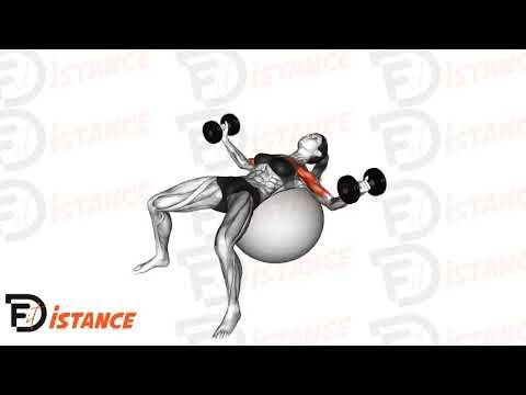 Écartés haltères avec ballon (Swiss Ball)