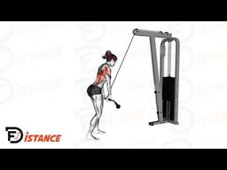 Exercice Pullover à la barre