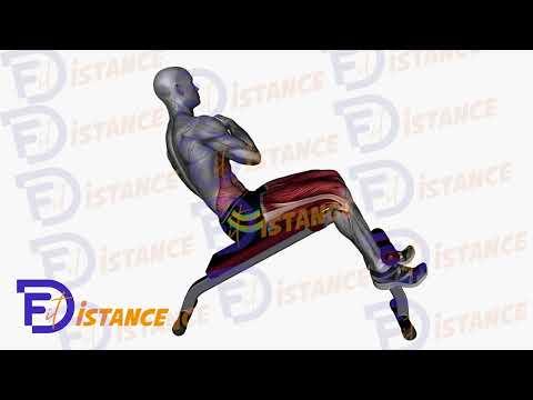 Crunchs obliques en décliné
