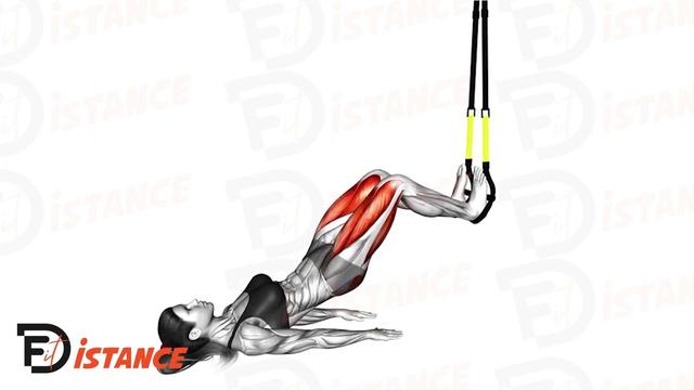 Hip thrust au TRX