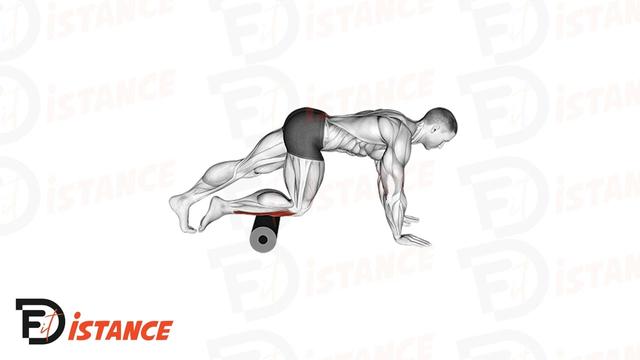 Foam Roller des muscles péroniers