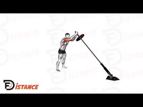 Landmine Press à deux bras