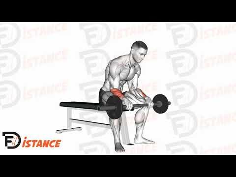 Flexion des poignets assis à la barre droite