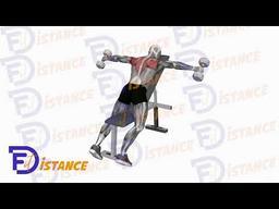 Exercice Élévations latérales postérieures avec haltères en appui poitrine