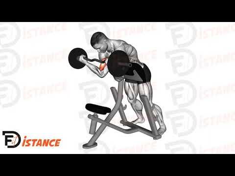 Curl au pupitre debout avec barre EZ