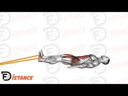 Exercice Crunchs inversés avec élastique