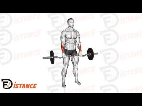 Flexion des poignets à la barre EZ