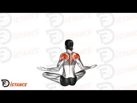 Squeeze du dos en position assise