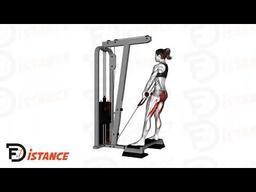 Exercice Deadlifts à la poulie