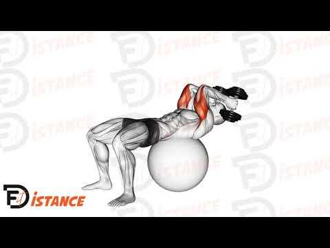 Extension des triceps sur ballon (Swiss Ball)