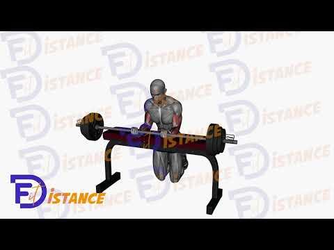 Flexions des poignets avec barre en supination sur un banc