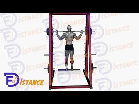 Élévations de mollets à la machine Smith