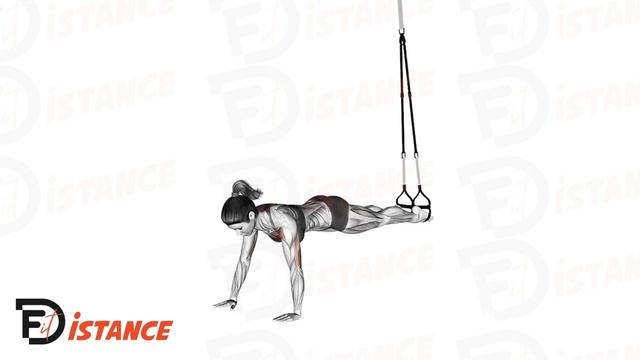 Pompes TRX avec les pieds suspendus