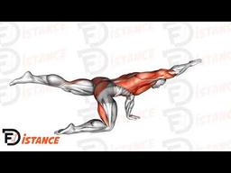 Exercice Extension de l'ours (bear extension)
