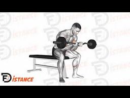Exercice Curl concentré avec barre EZ en position assise, prise serrée
