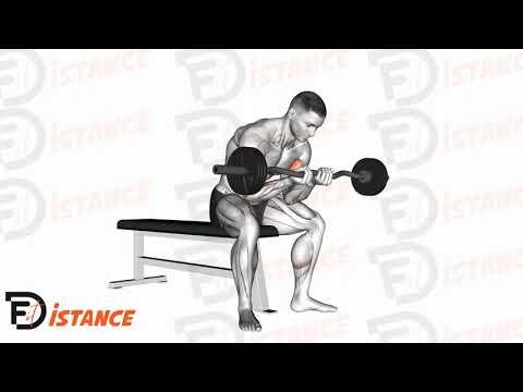 Curl concentré avec barre EZ en position assise, prise serrée
