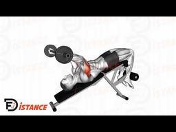Exercice Barre au front décliné (Skull crusher)