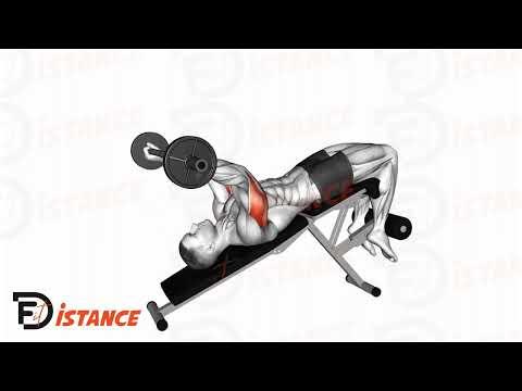 Barre au front décliné (Skull crusher)