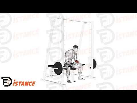 Curl de poignet assis à la guidée (Smith machine)