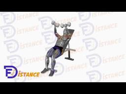 Exercice Écartés inclinés avec haltères et rotation interne à la fin