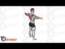 Exercice Écartés arrières à l'élastique