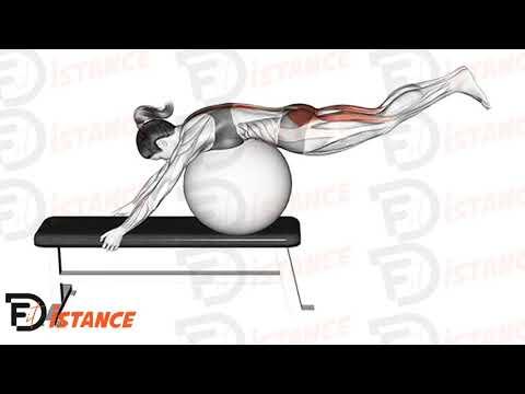 Hyperextension inversée avec ballon (Swiss Ball) sur banc