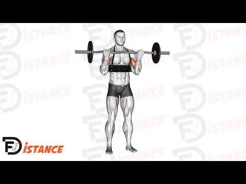 Curl biceps avec barre EZ (avec arm blaster)