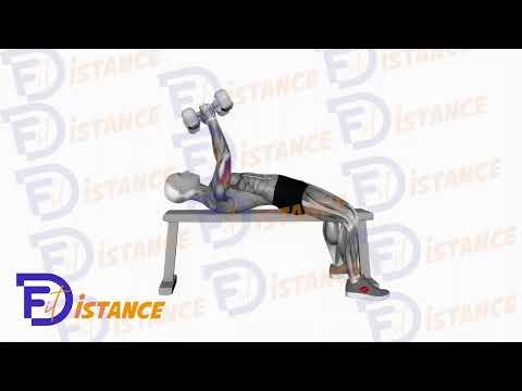 Barre au front aux haltères (Skull crusher)