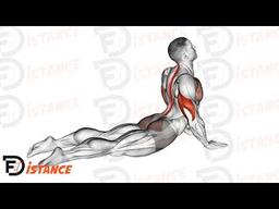Exercice Pompes phoque (Seal push ups)