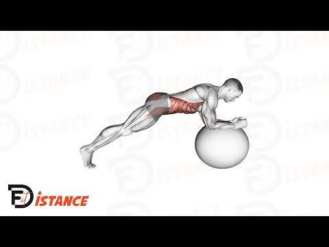 Planche avec les mains sur un Swiss Ball