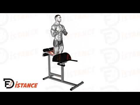 Glute-Ham Raise