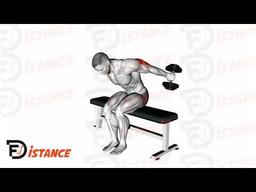 Exercice Kickback - Extensions des triceps assis