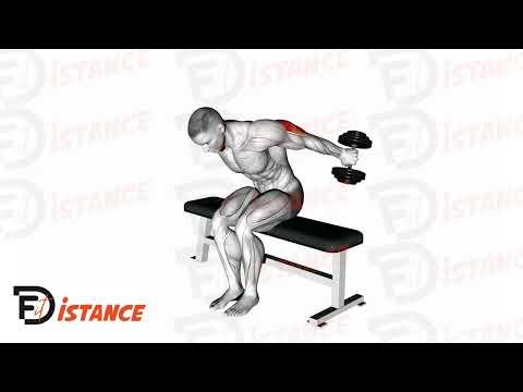 Kickback - Extensions des triceps assis
