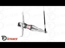 Exercice Planche latérale avec TRX