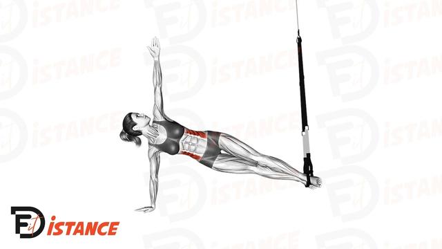 Planche latérale avec TRX